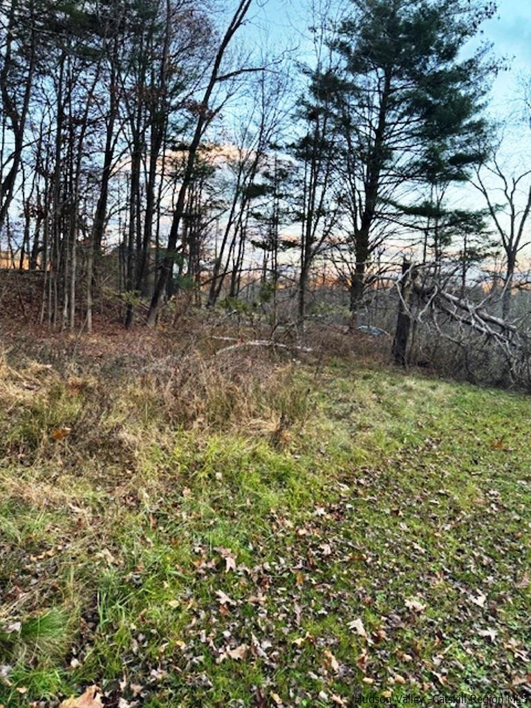 445 Mill Hook Road Accord, NY 12404 - Photo 3 of 10 Photo 3