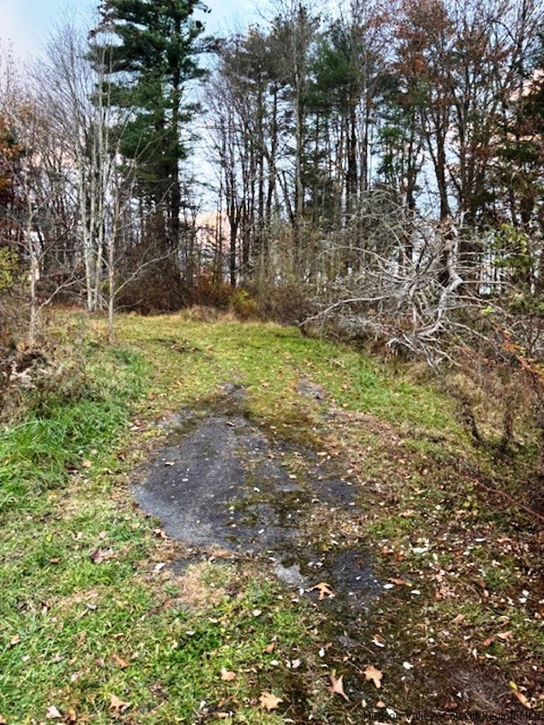 445 Mill Hook Road Accord, NY 12404 - Photo 5 of 10 Photo 5