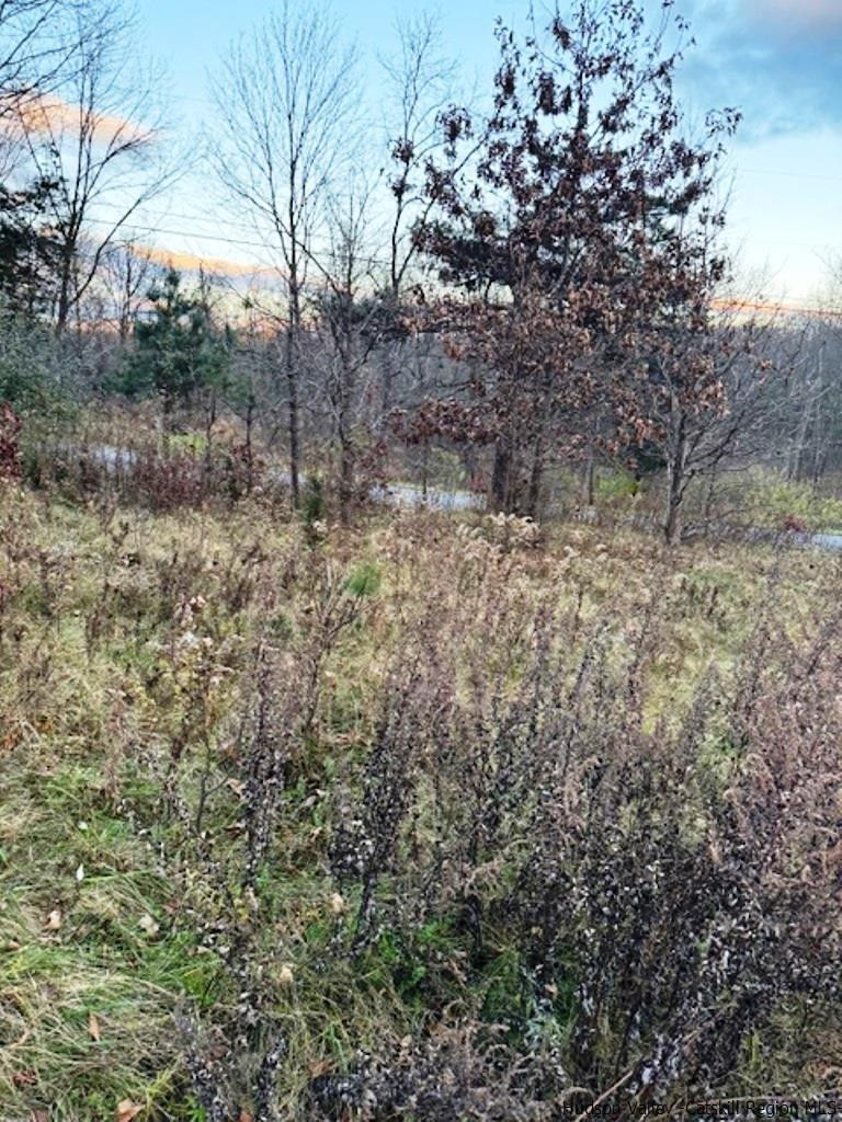 445 Mill Hook Road Accord, NY 12404 - Photo 7 of 10 Photo 7