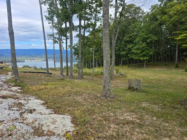 $475,000 | 720 Wohalie Lane, South Pittsburg, TN 37380