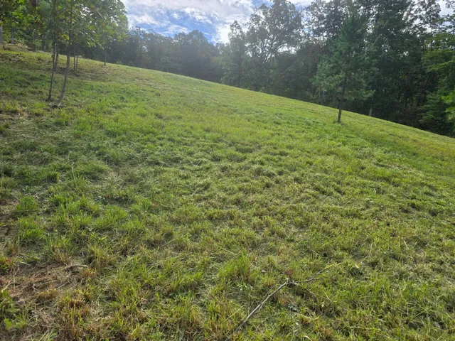 $475,000 | 720 Wohalie Lane, South Pittsburg, TN 37380