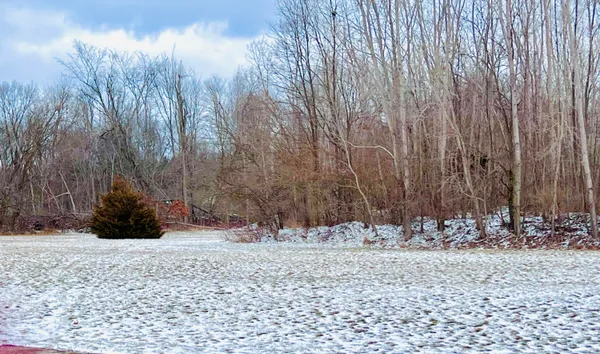 $80,000 | 56660 Tanner Trail, Three Rivers, MI 49093