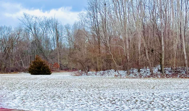 $80,000 | 56660 Tanner Trail, Three Rivers, MI 49093