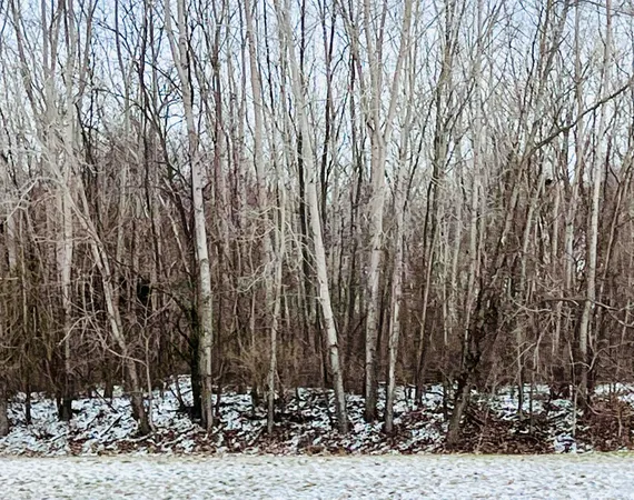 $80,000 | 56660 Tanner Trail, Three Rivers, MI 49093