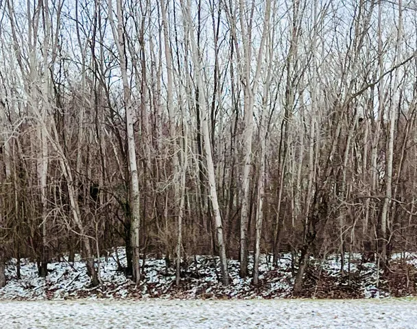 $80,000 | 56660 Tanner Trail, Three Rivers, MI 49093