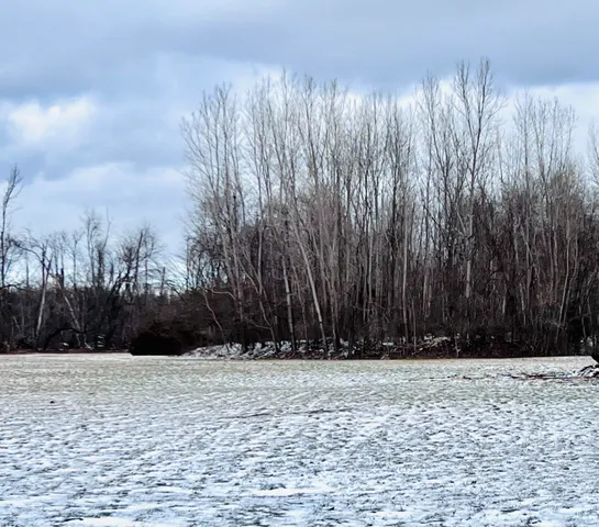 $80,000 | 56660 Tanner Trail, Three Rivers, MI 49093