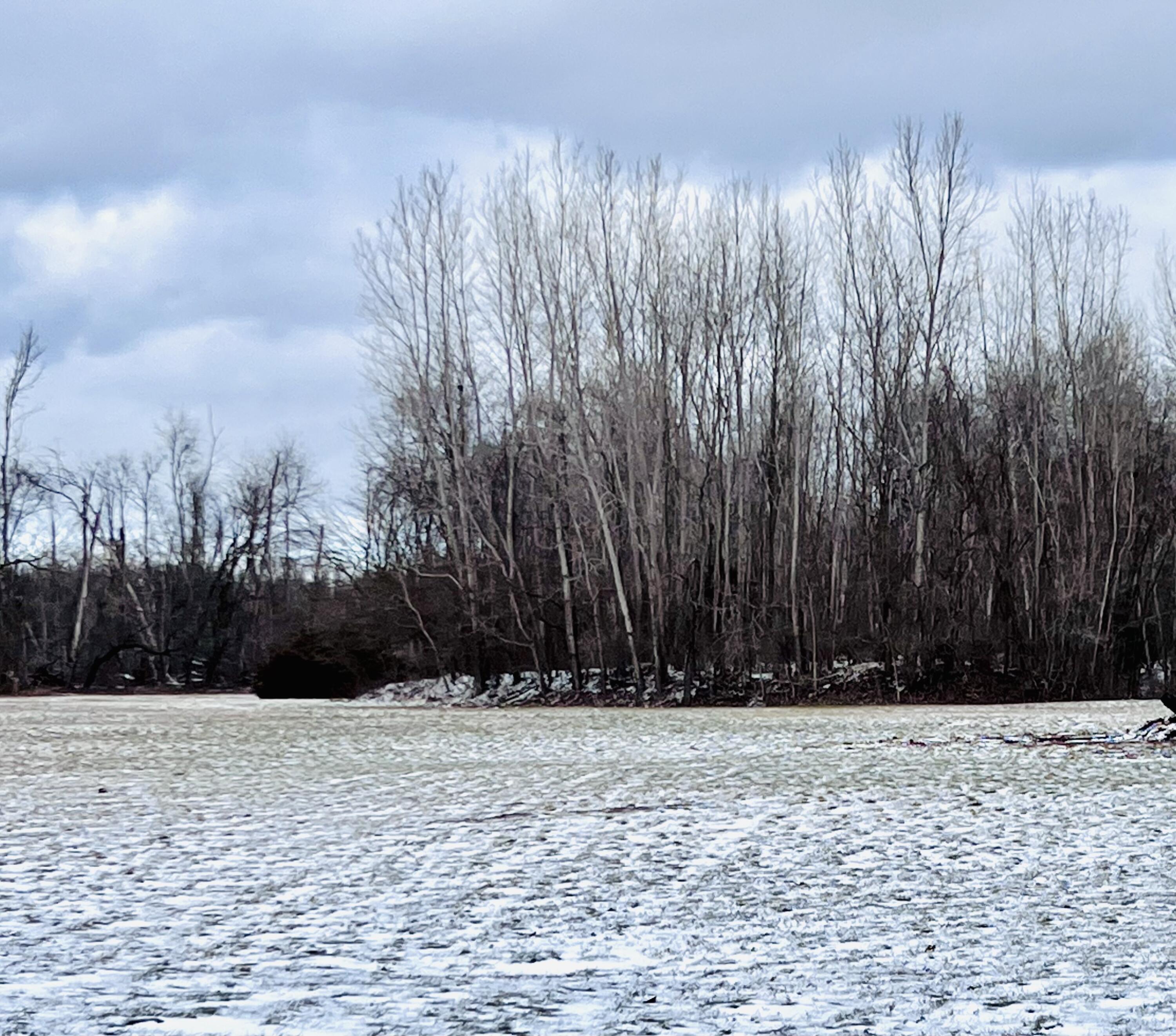 56660 Tanner Trail Three Rivers, MI 49093 - Photo 3 of 5 IMG_3530