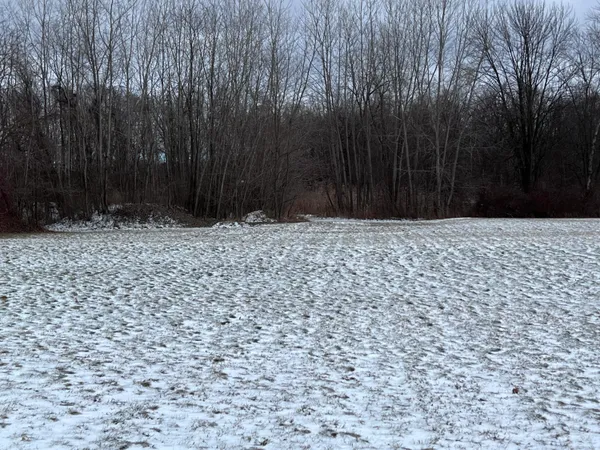 $80,000 | 56660 Tanner Trail, Three Rivers, MI 49093