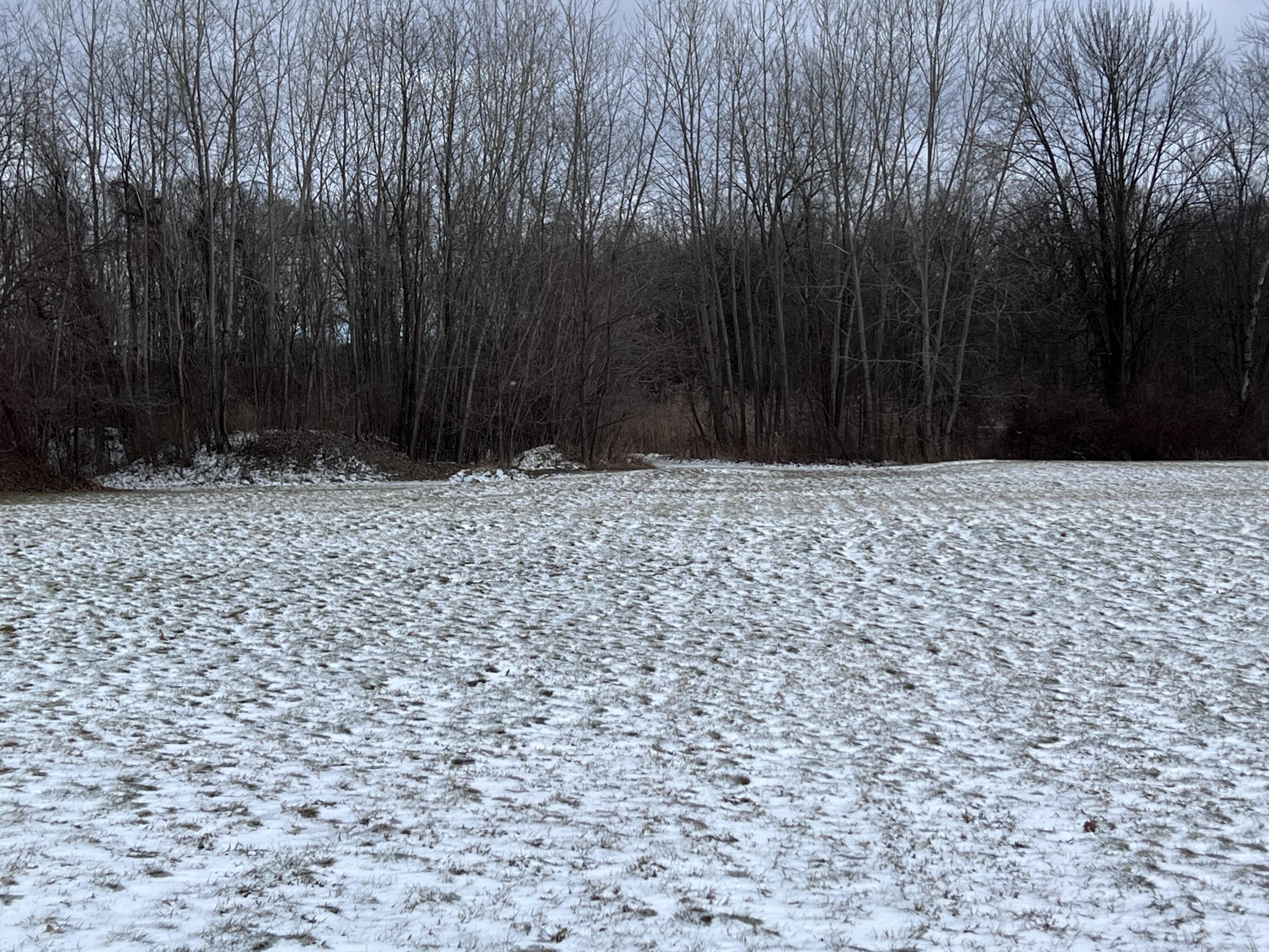 56660 Tanner Trail Three Rivers, MI 49093 - Photo 4 of 5 IMG_3536