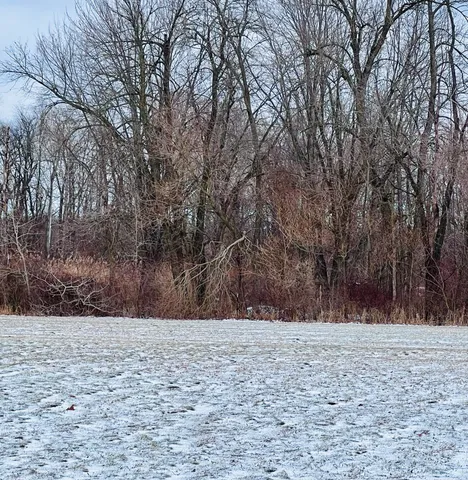 $80,000 | 56660 Tanner Trail, Three Rivers, MI 49093