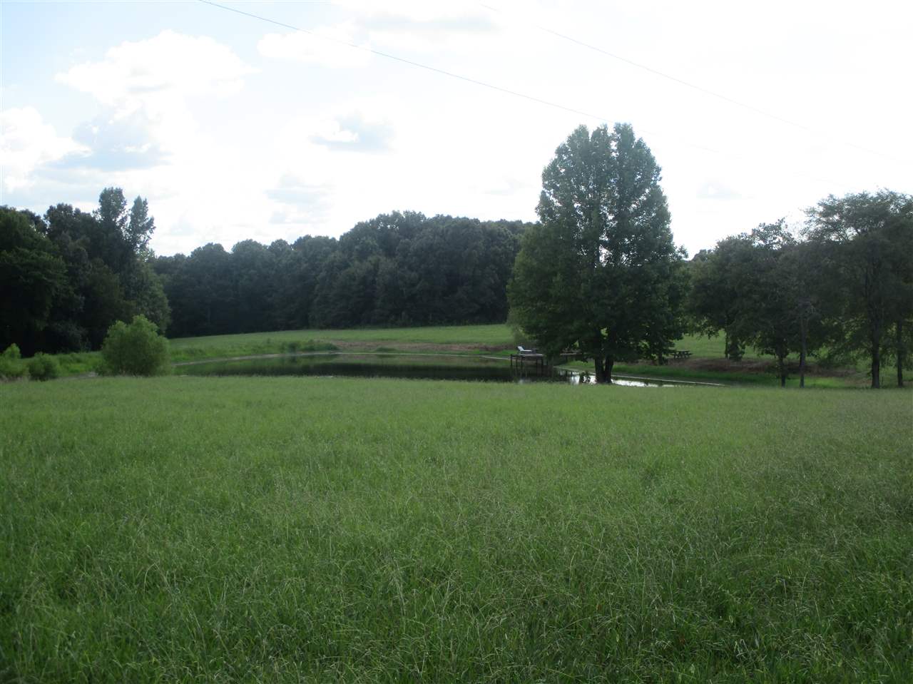 3190 Bobbitt Road Williston, TN 38076 - Photo 1 of 24 Gallery Image 1