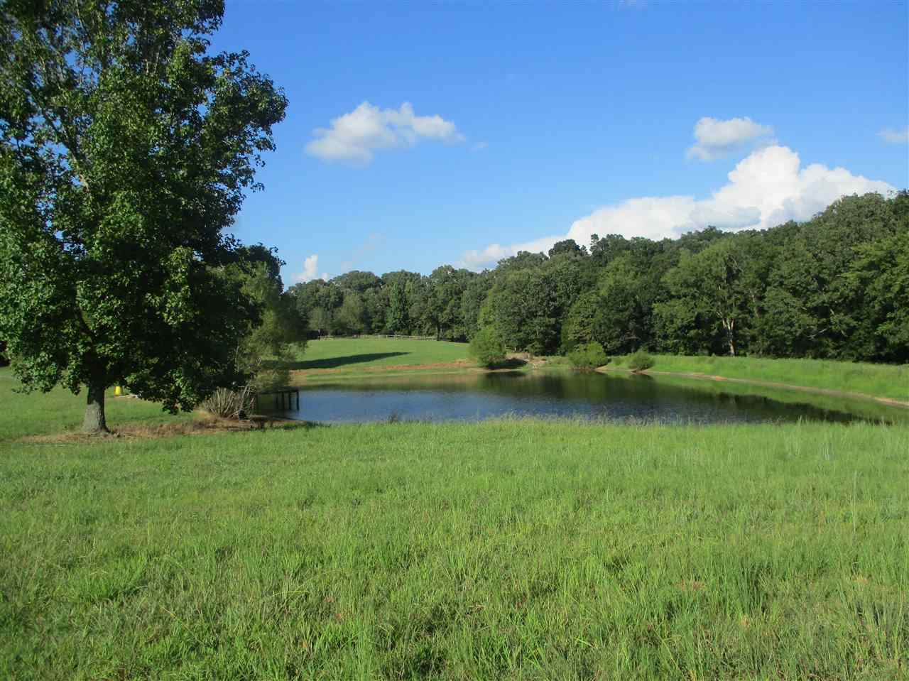 3190 Bobbitt Road Williston, TN 38076 - Photo 2 of 24 Gallery Image 2