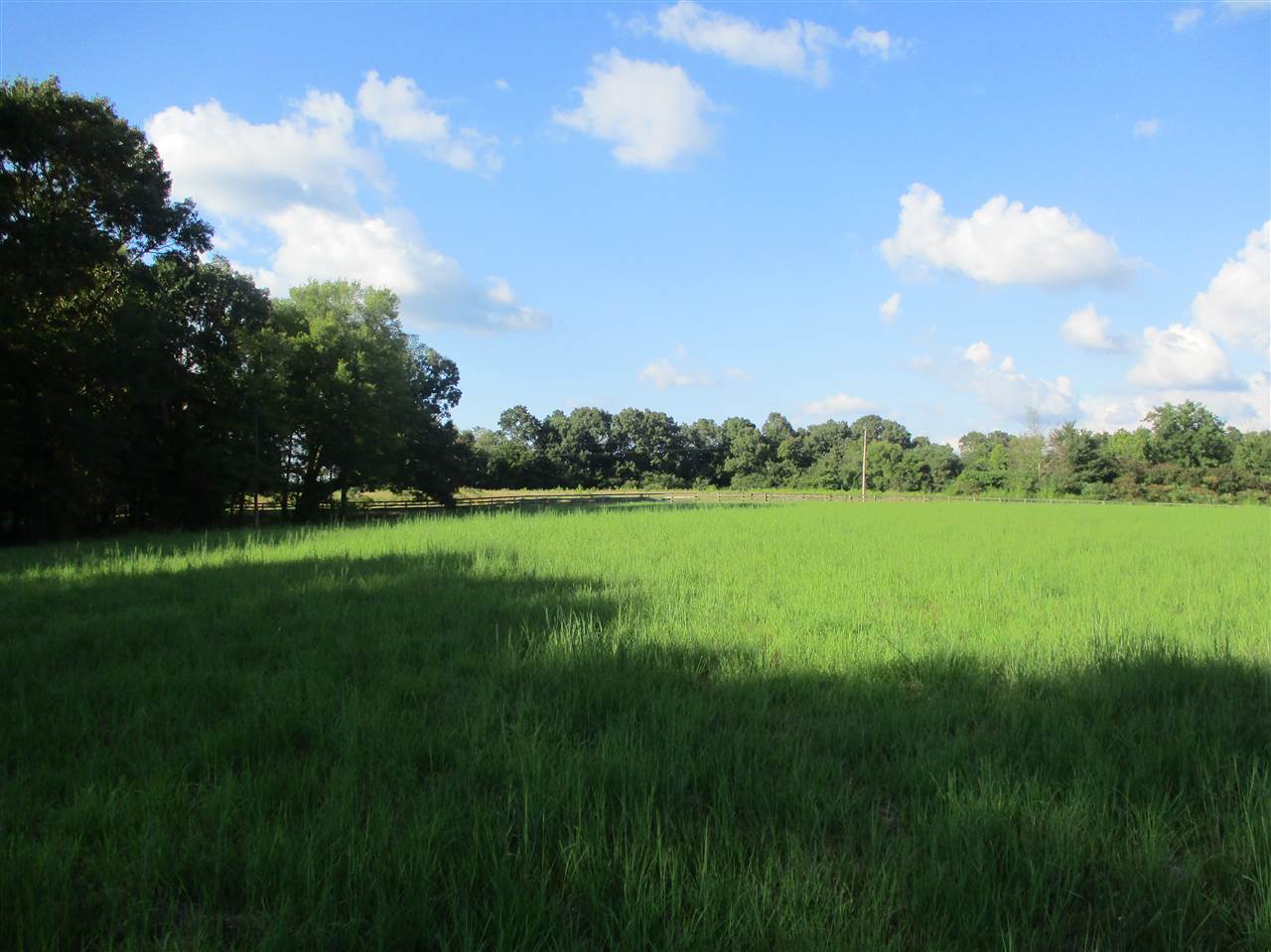 3190 Bobbitt Road Williston, TN 38076 - Photo 11 of 24 Gallery Image 11