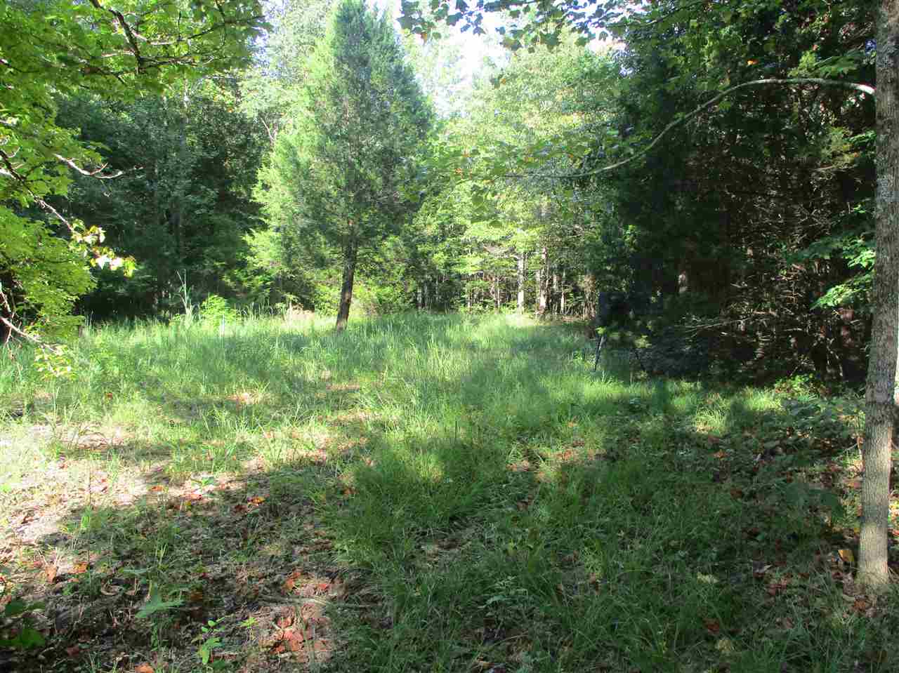 3190 Bobbitt Road Williston, TN 38076 - Photo 13 of 24 Gallery Image 13