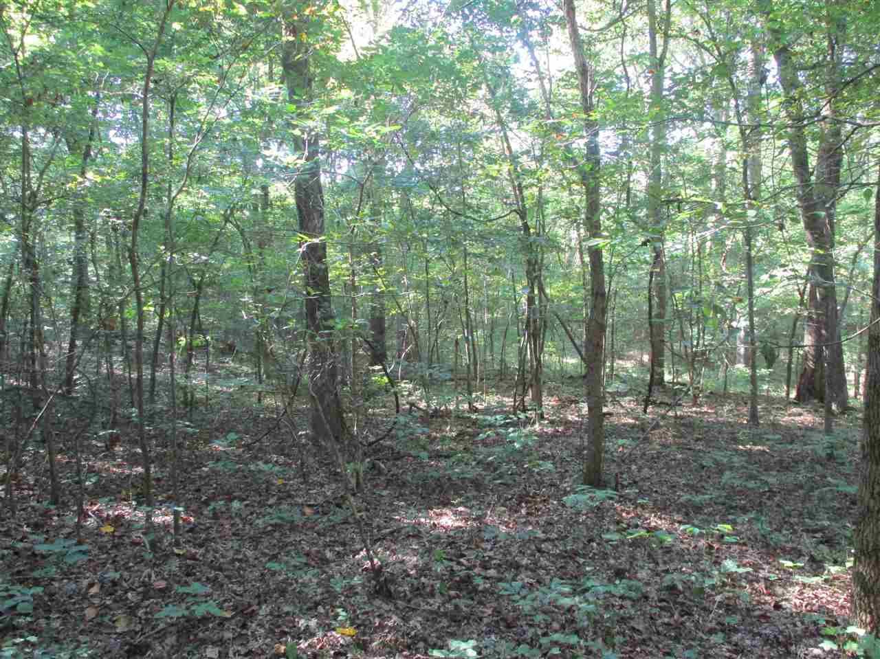 3190 Bobbitt Road Williston, TN 38076 - Photo 14 of 24 Gallery Image 14