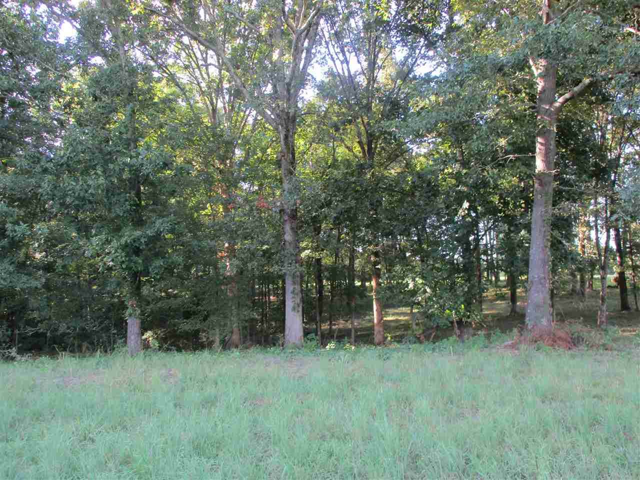 3190 Bobbitt Road Williston, TN 38076 - Photo 15 of 24 Gallery Image 15