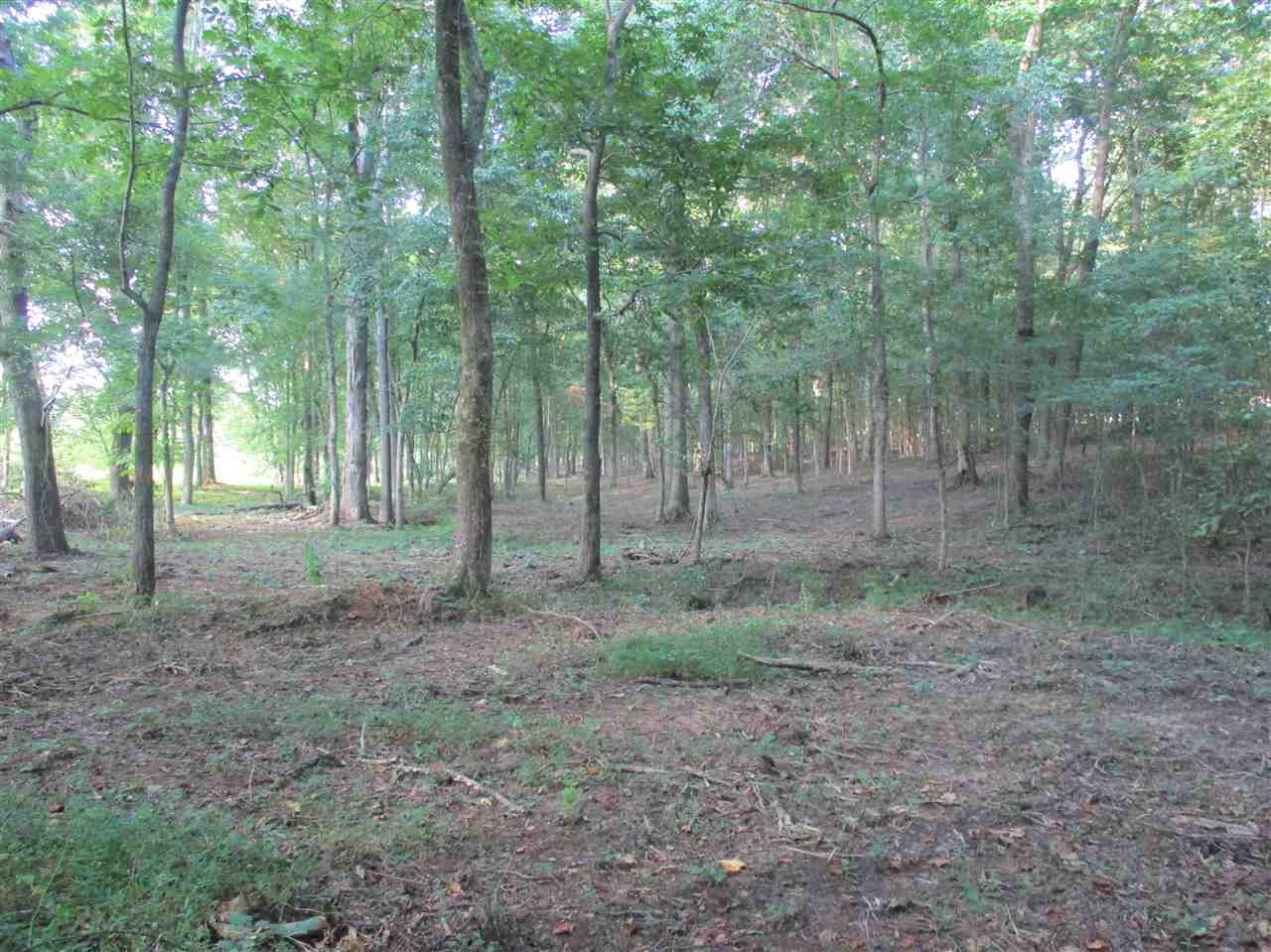 3190 Bobbitt Road Williston, TN 38076 - Photo 16 of 24 Gallery Image 16