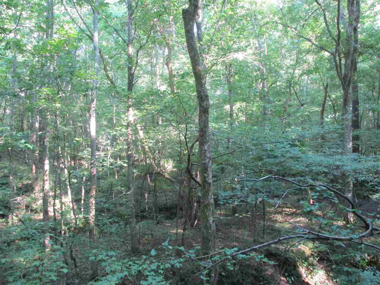 3190 Bobbitt Road Williston, TN 38076 - Photo 17 of 24 Gallery Image 17