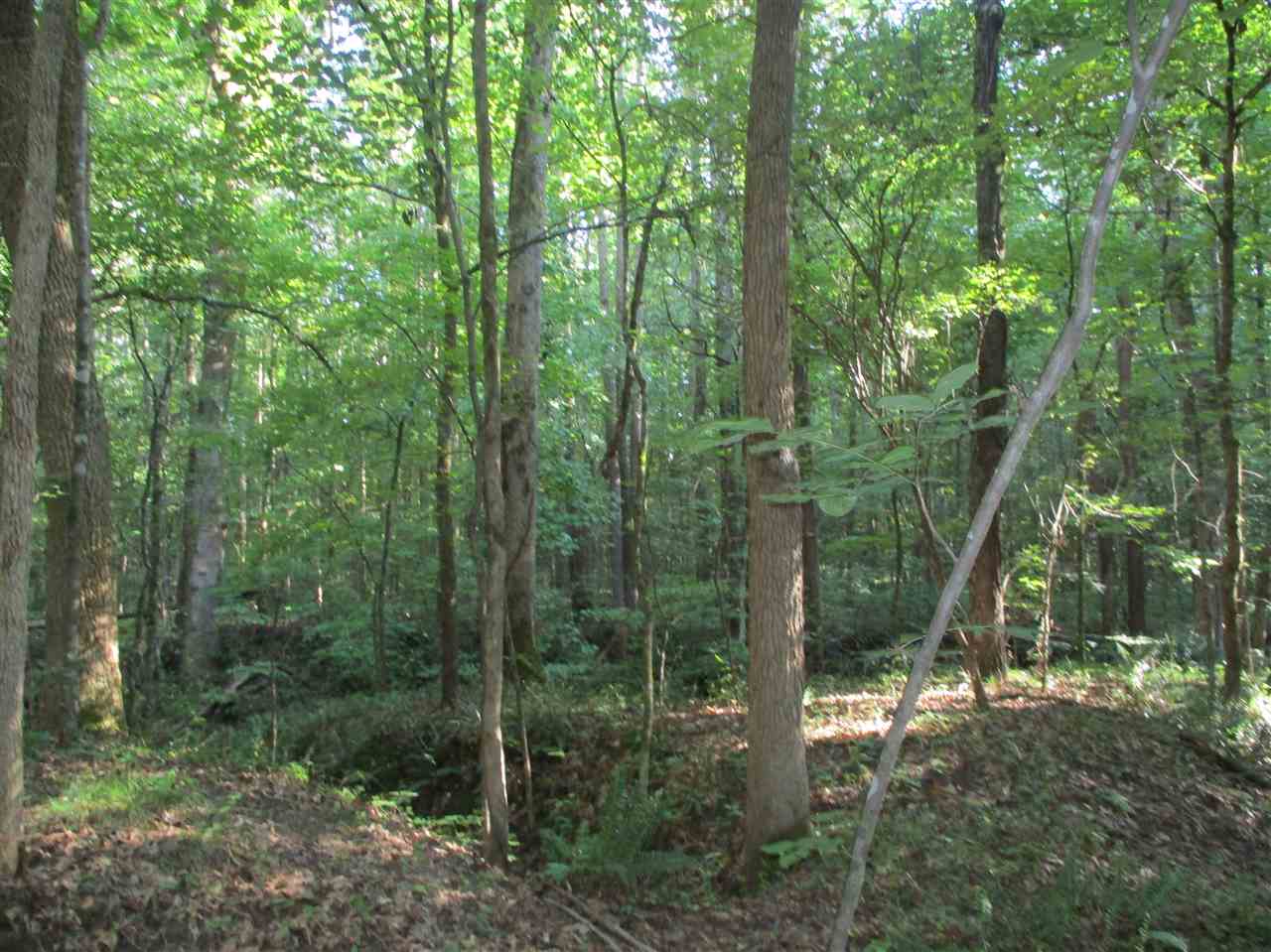 3190 Bobbitt Road Williston, TN 38076 - Photo 18 of 24 Gallery Image 18