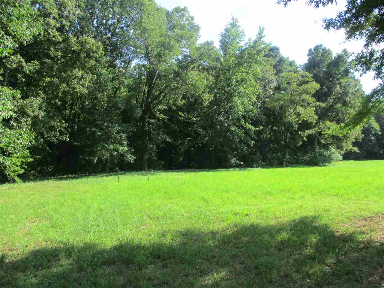 3190 Bobbitt Road Williston, TN 38076 - Photo 3 of 24 Gallery Image 3