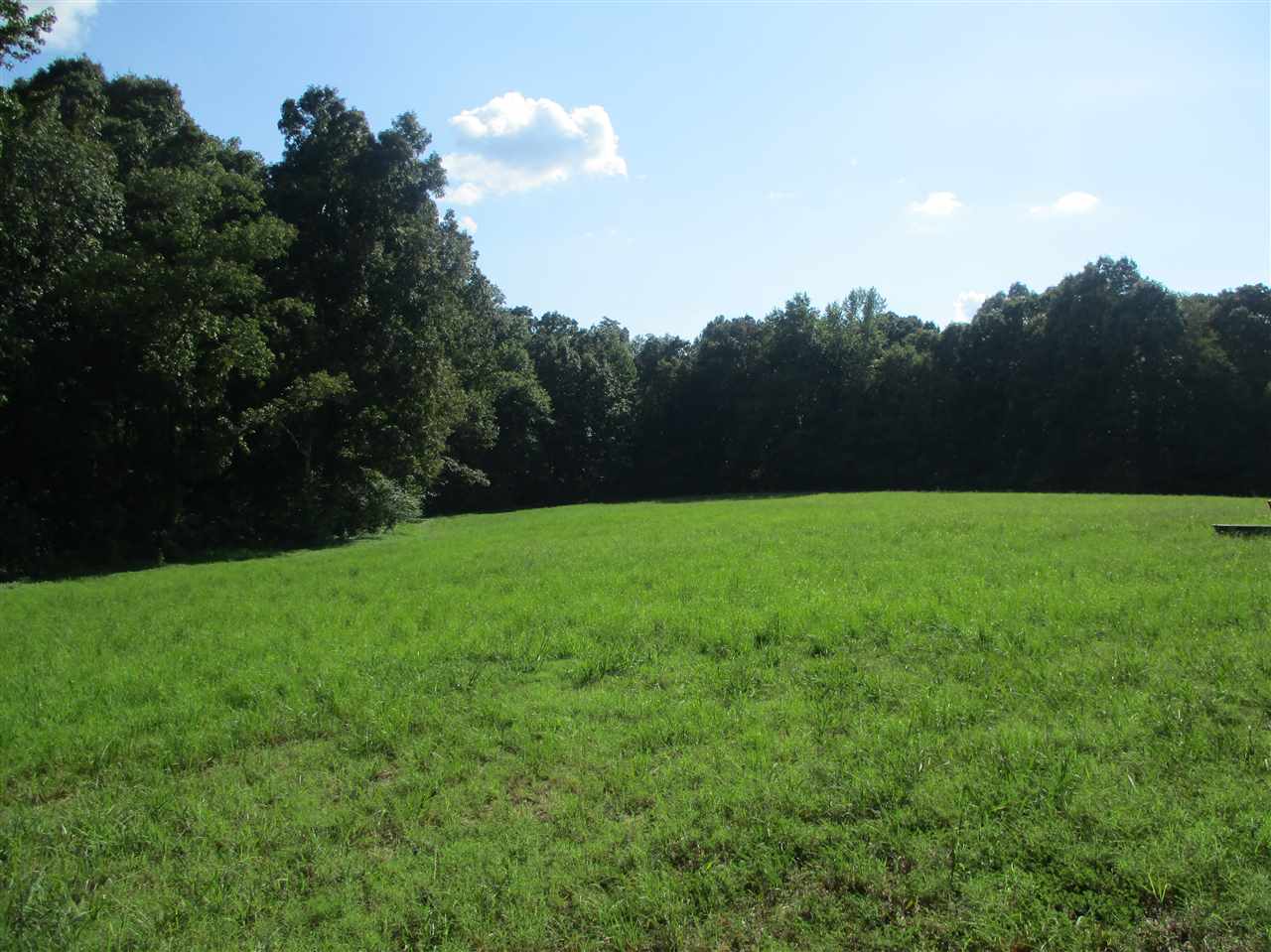 3190 Bobbitt Road Williston, TN 38076 - Photo 4 of 24 Gallery Image 4