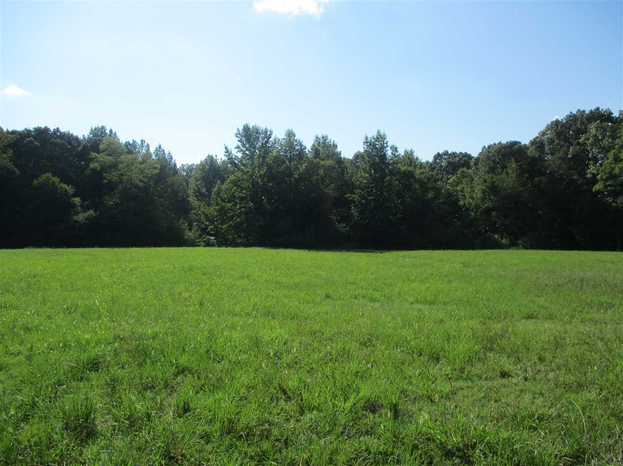3190 Bobbitt Road Williston, TN 38076 - Photo 5 of 24 Gallery Image 5