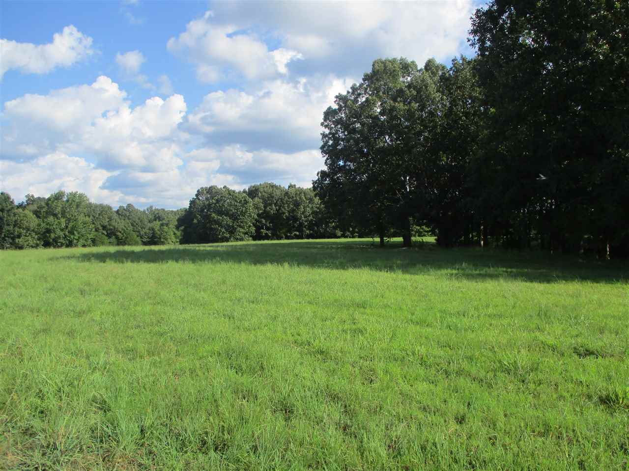 3190 Bobbitt Road Williston, TN 38076 - Photo 8 of 24 Gallery Image 8