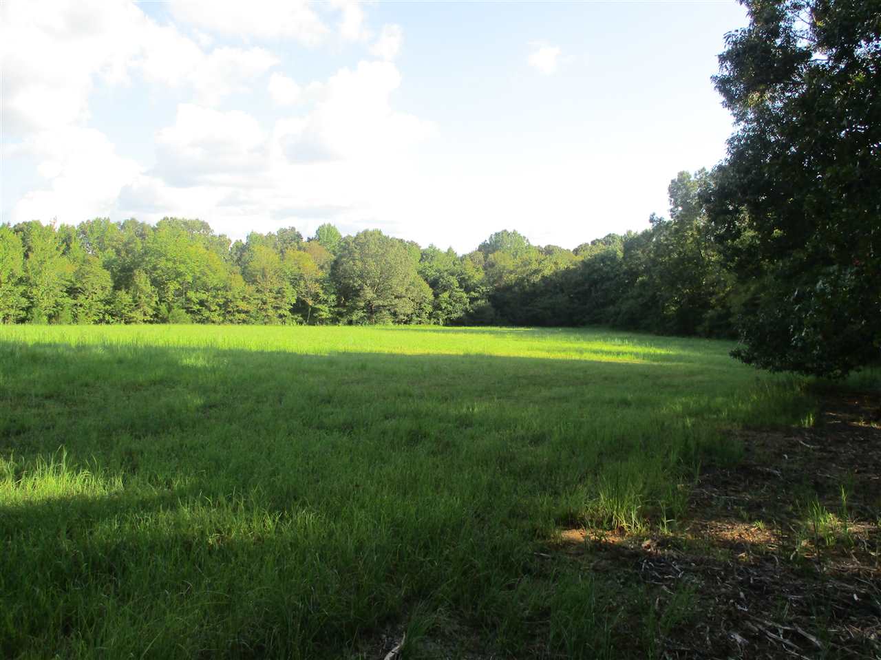 3190 Bobbitt Road Williston, TN 38076 - Photo 9 of 24 Gallery Image 9