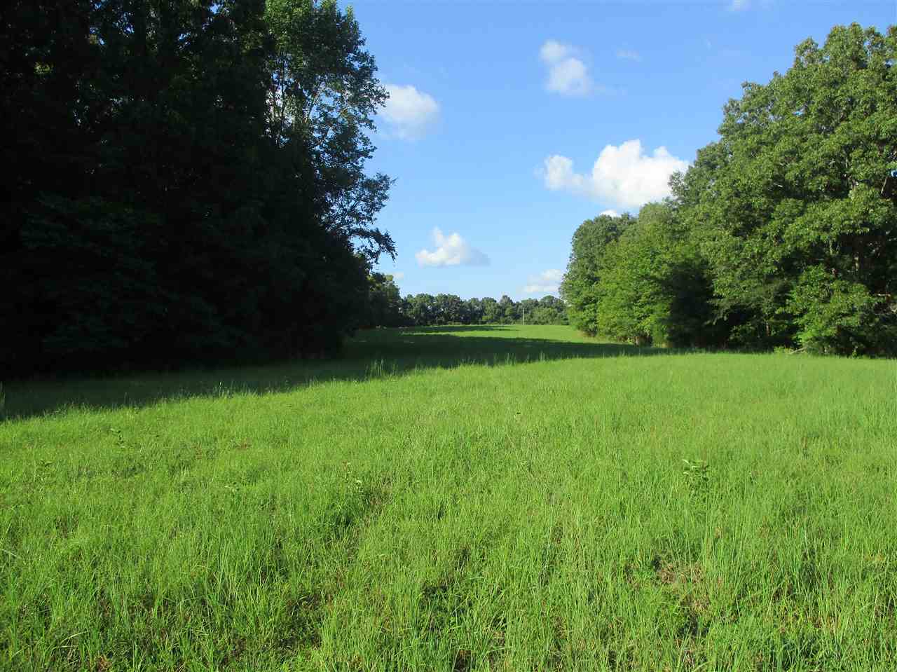 3190 Bobbitt Road Williston, TN 38076 - Photo 10 of 24 Gallery Image 10