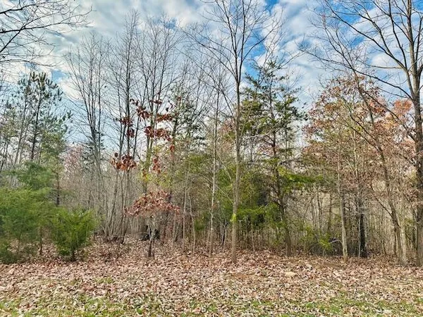 $29,900 | Lot 6 Waterford Drive, Moneta, VA 24121