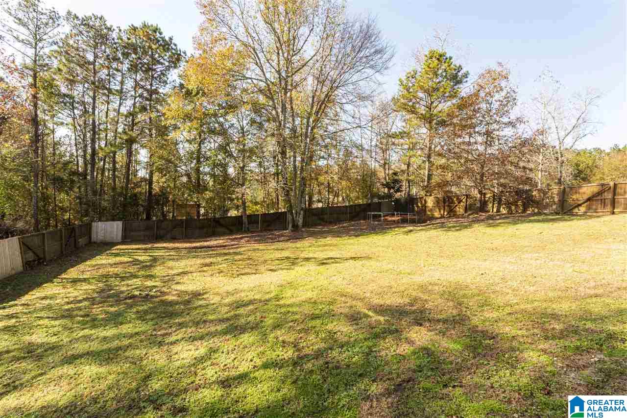 6370 Mays Bend Road Pell City, AL 35128 - Photo 4 of 36