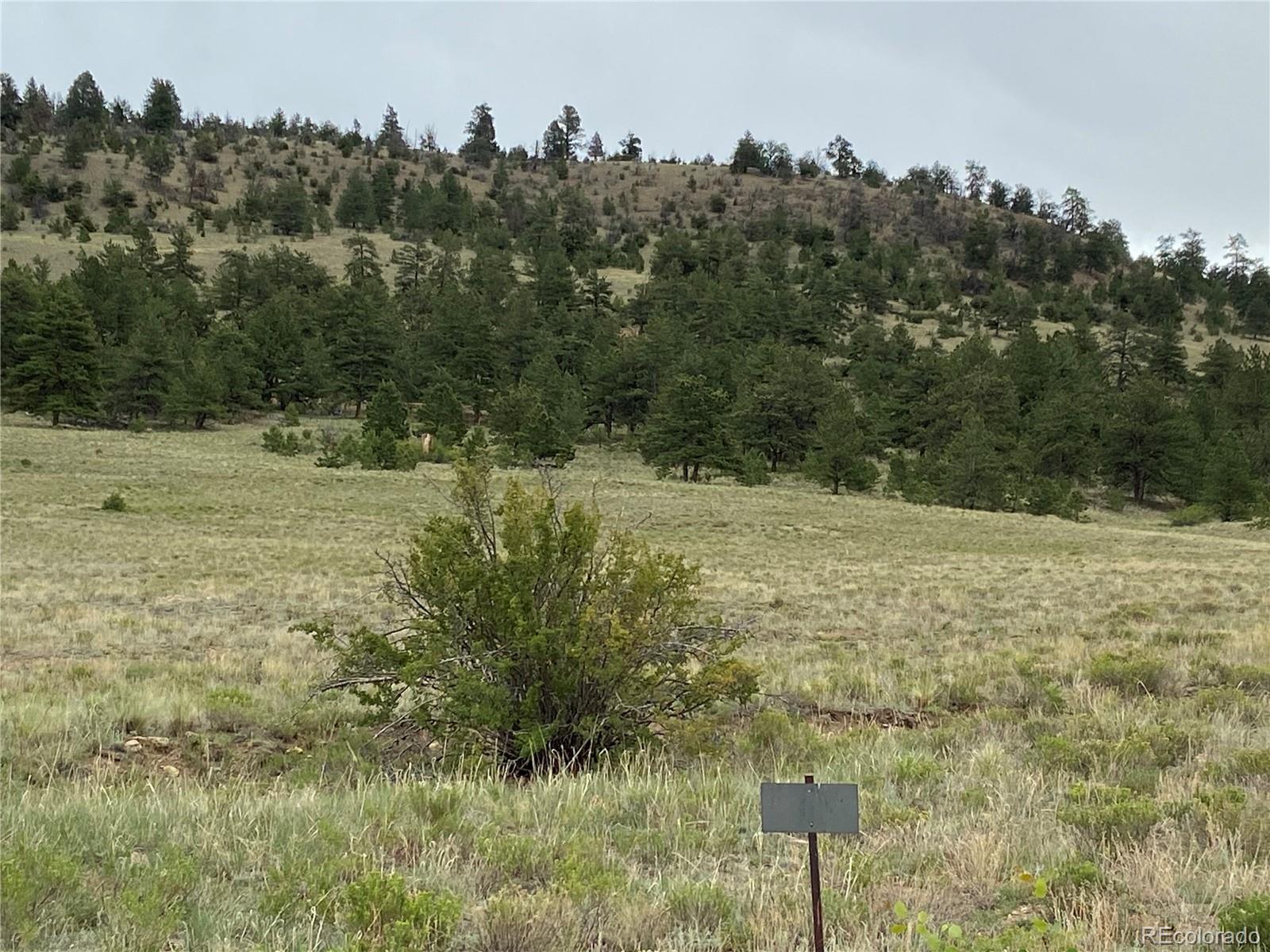 0 Sequin Road Hartsel, CO 80449 - Photo 1 of 10 a view of a field of grass and trees