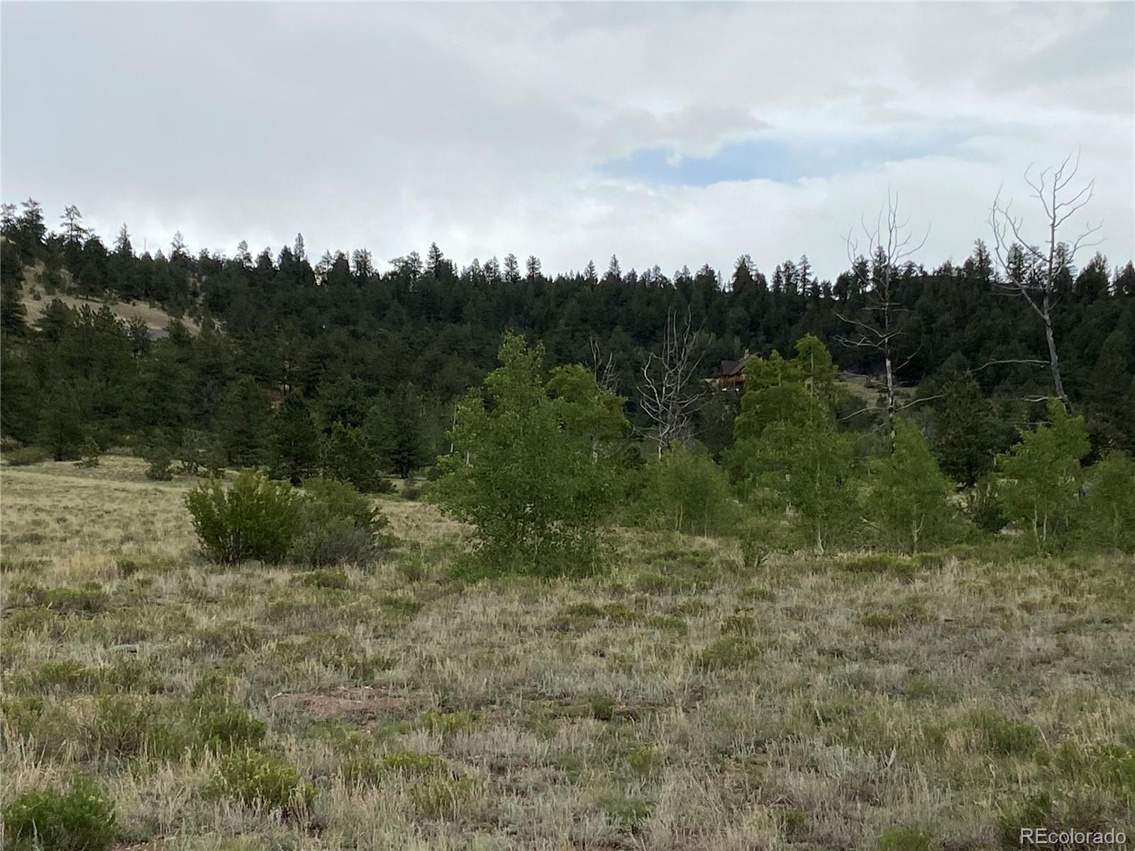 0 Sequin Road Hartsel, CO 80449 - Photo 5 of 10 a view of a field with trees in the background
