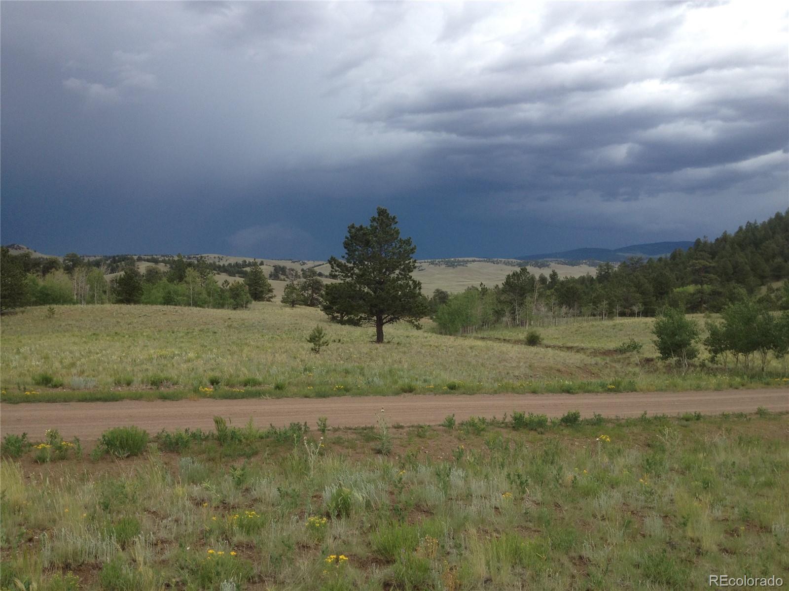 0 Sequin Road Hartsel, CO 80449 - Photo 7 of 10 a view of a field with cabinets