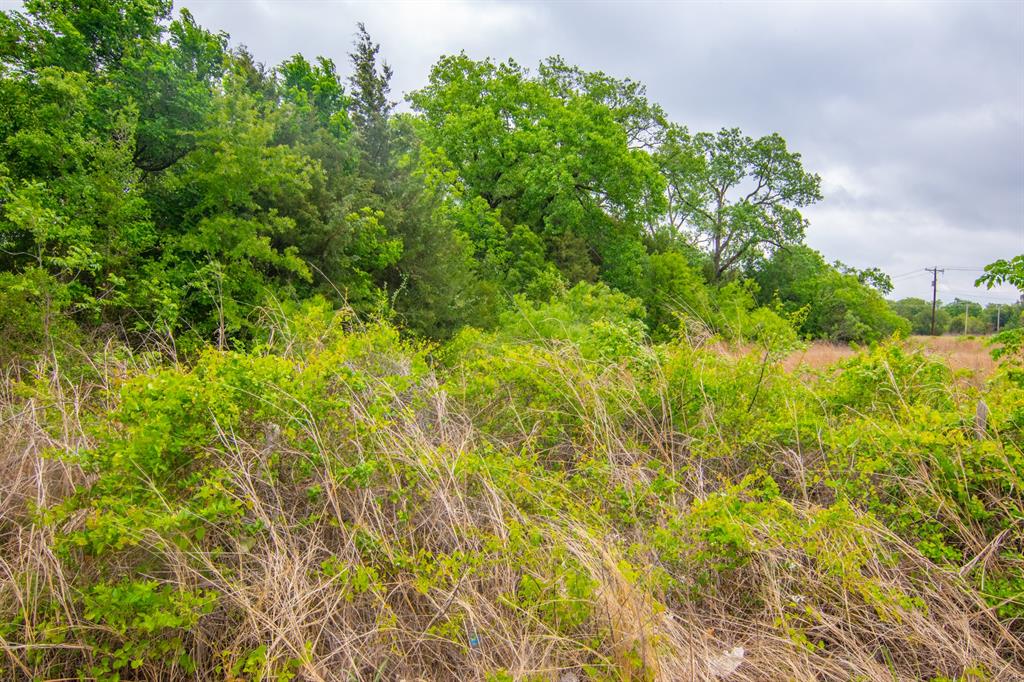 Tbd South Lockhart Road Stephenville, TX 76401 - Photo 9 of 10 a view of a lush green space