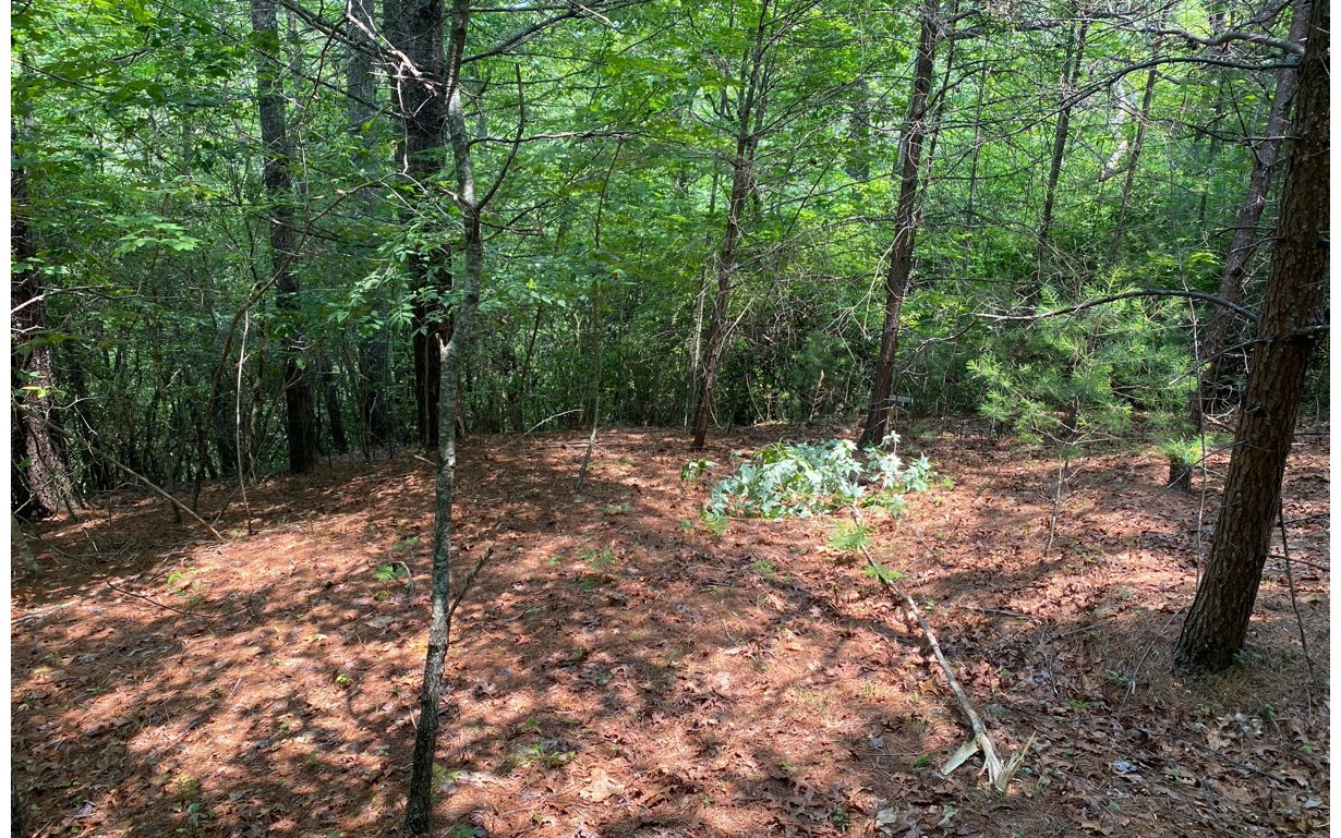 Lot 6 Orton Road Murphy, NC 28906 - Photo 3 of 5 Additional View