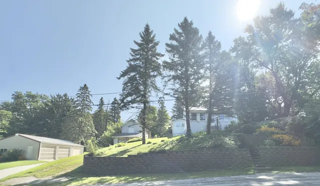 a backyard of a house with plants and trees