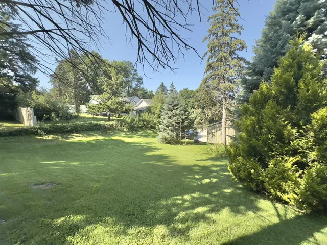 a view of a park with large trees