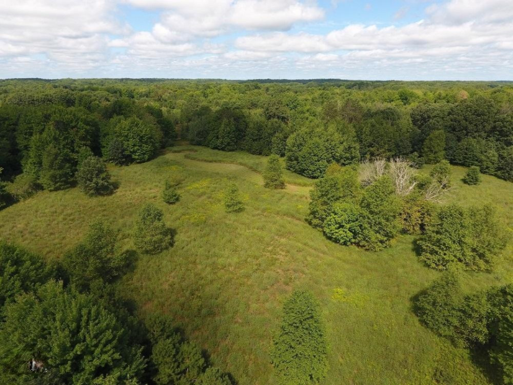 6875 22 Mile Road Barryton, MI 49305 - Photo 4 of 13 DJI_0004
