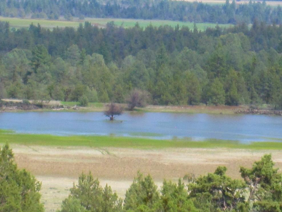Lot 8-9 St John Ranch Road Fall River Mills, CA 96028 - Photo 4 of 12 a view of a lake and a yard