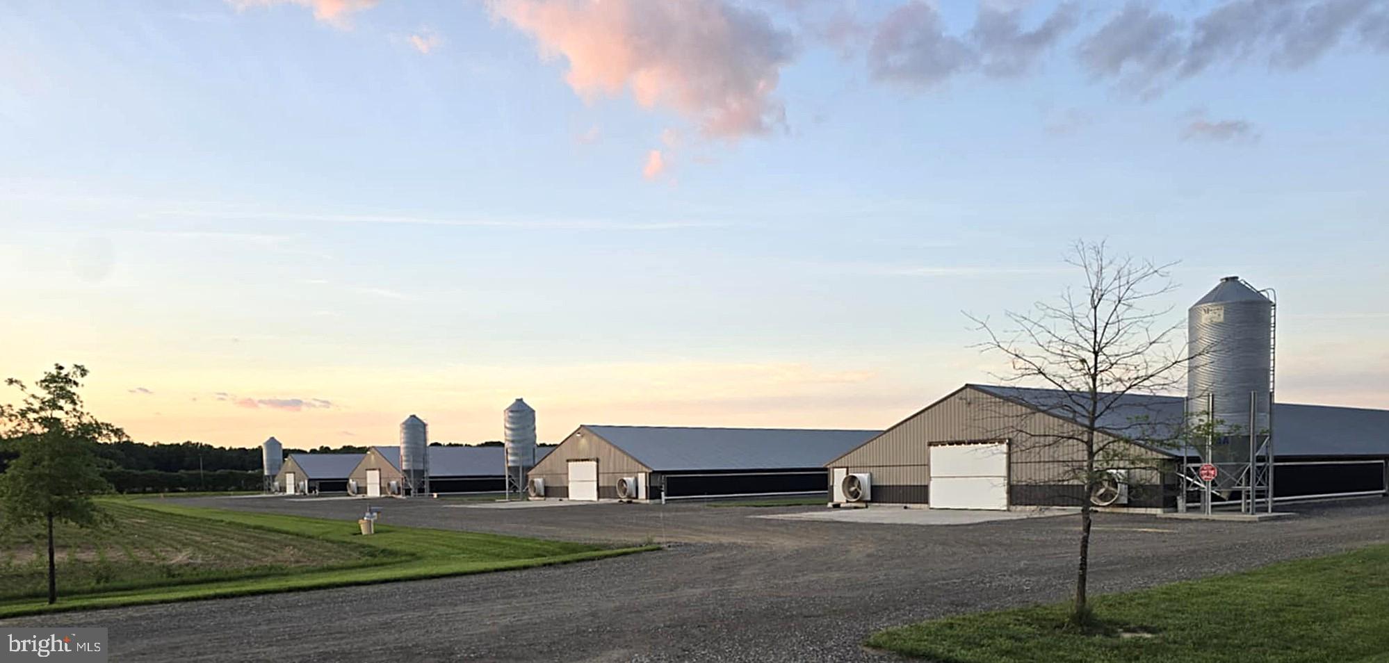 8019 Patten Road Denton, MD 21629 - Photo 1 of 11 a view of a house with a yard