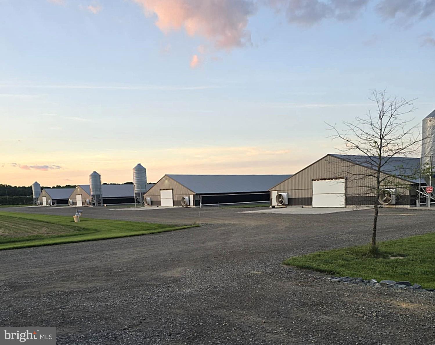 8019 Patten Road Denton, MD 21629 - Photo 11 of 11 a view of large house with a big yard and a large trees