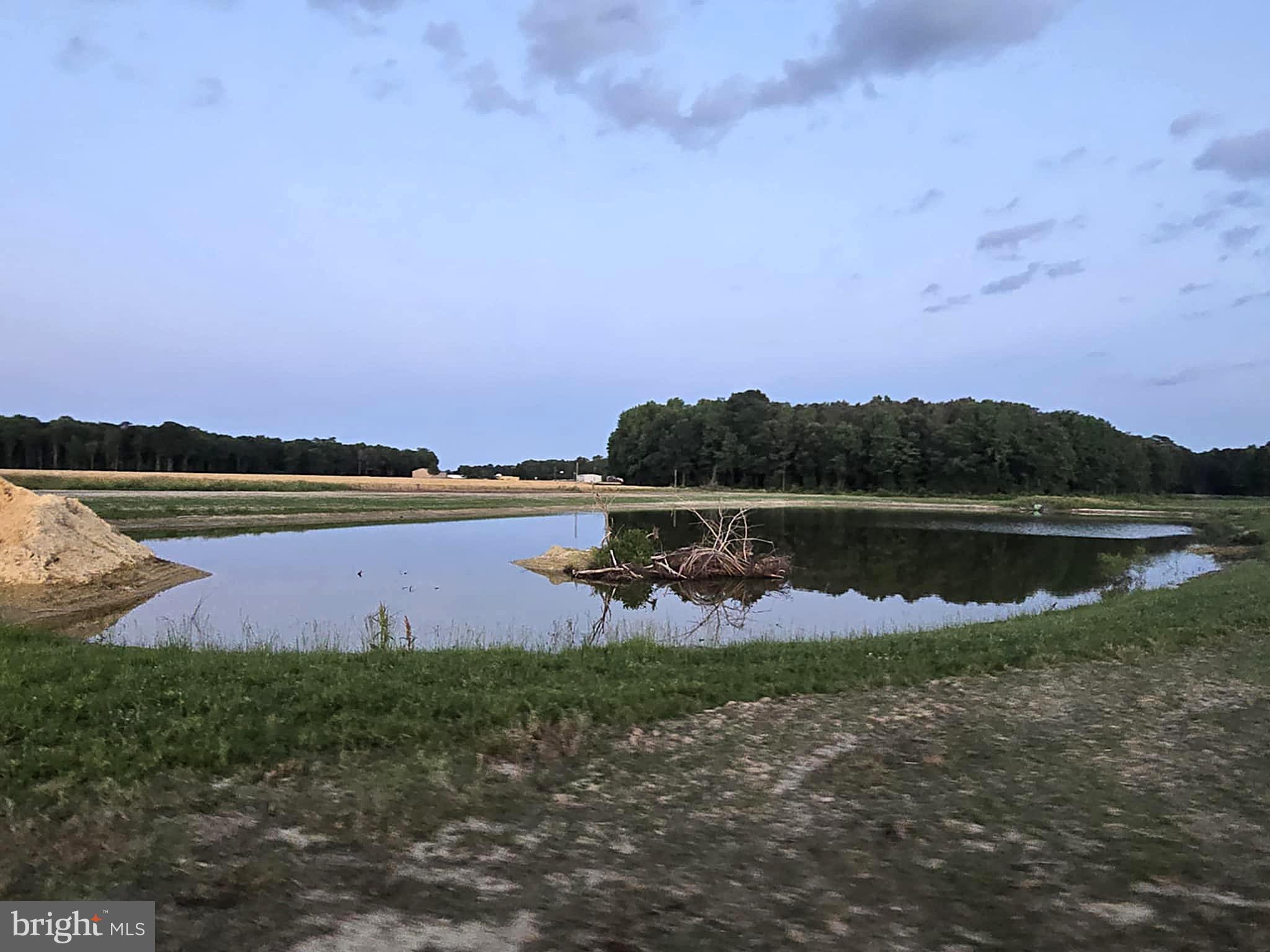 8019 Patten Road Denton, MD 21629 - Photo 4 of 11 a view of a lake with houses in the back