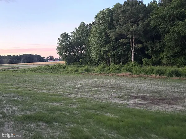 a view of a field with trees in background