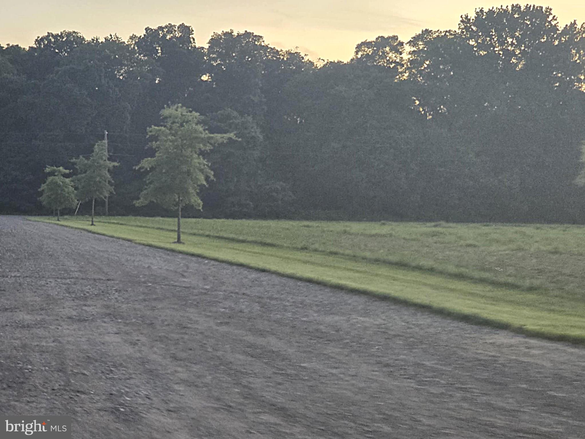 8019 Patten Road Denton, MD 21629 - Photo 7 of 11