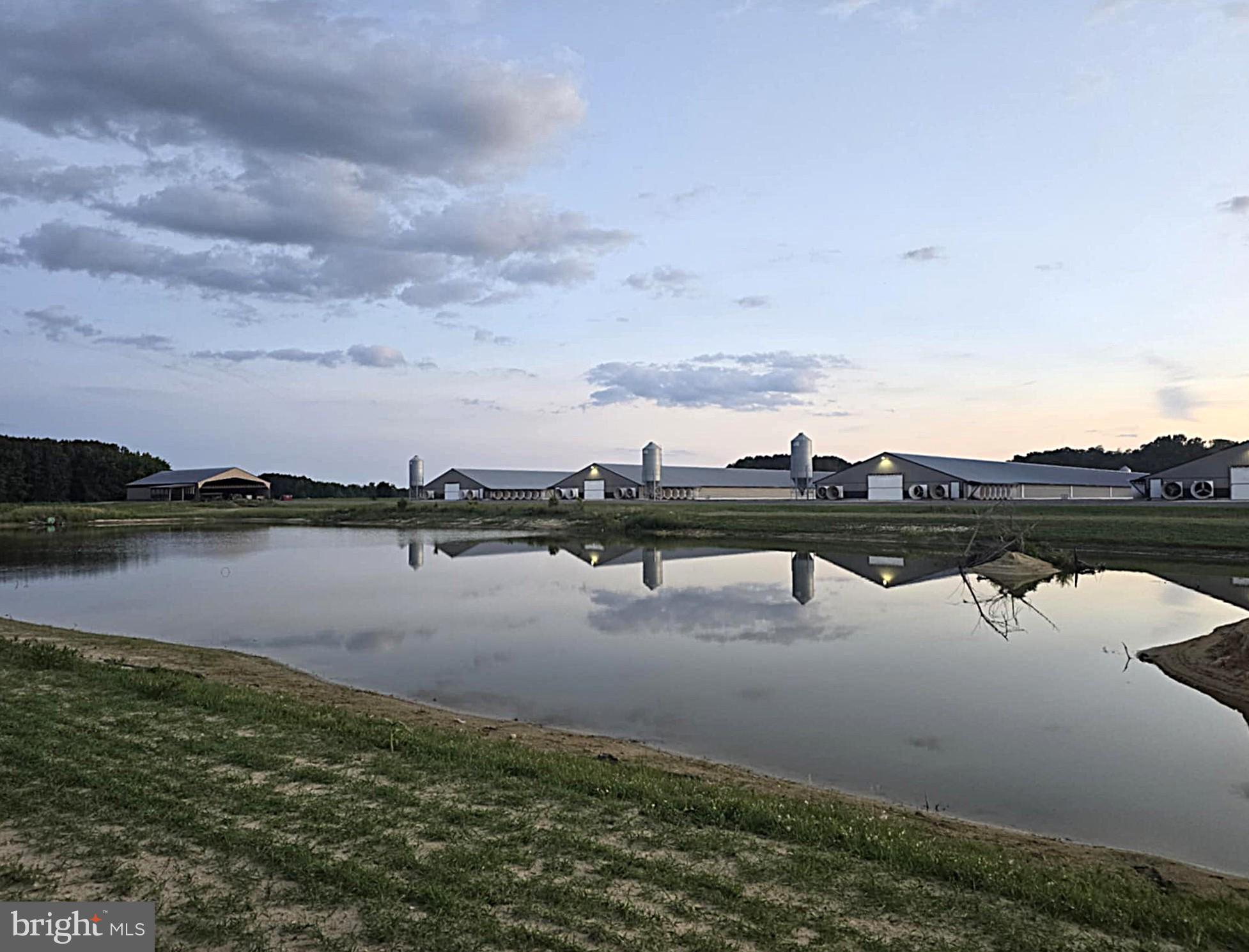 8019 Patten Road Denton, MD 21629 - Photo 10 of 11 a view of lake