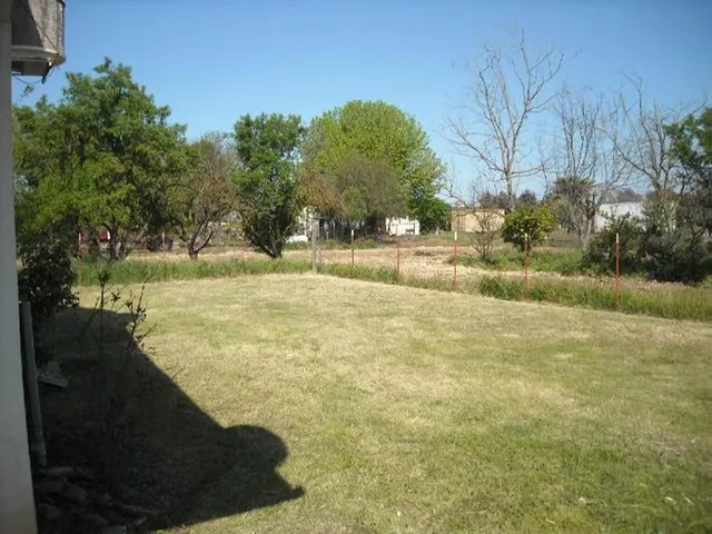 a view of a yard