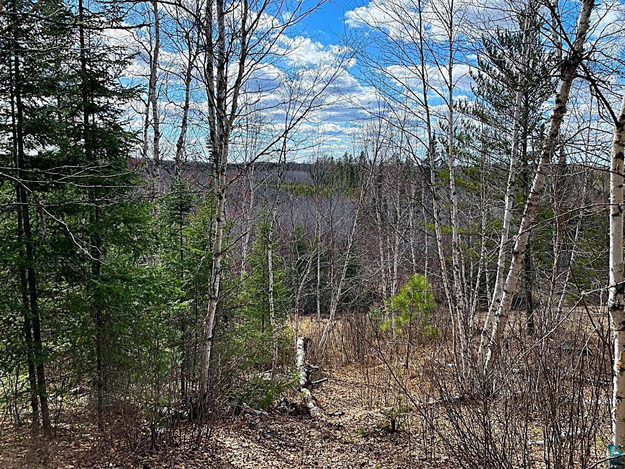 1480 Maijala Road Ely, MN 55731 - Photo 6 of 58 Wooded landscape featuring a variety of deciduous and pine trees.