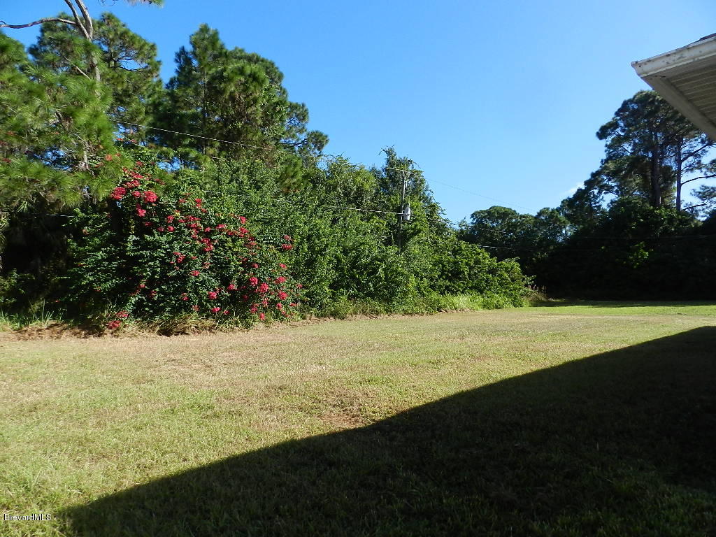 1359 Wing Road Southwest Palm Bay, FL 32908 - Photo 12 of 12 DSCN9857