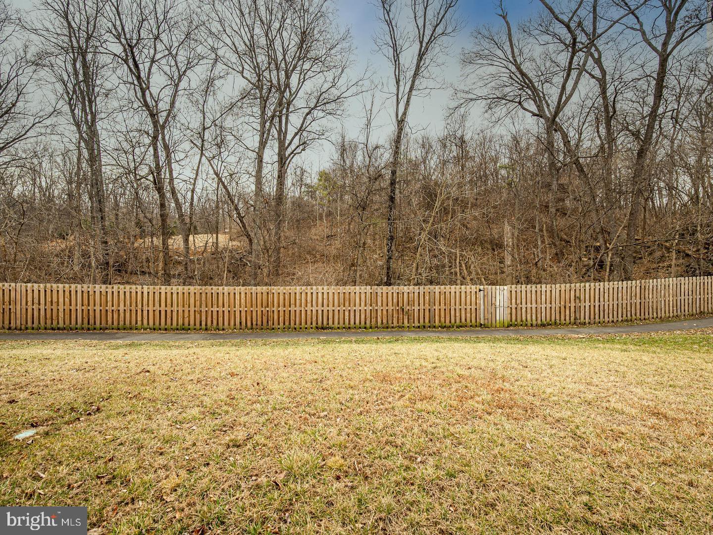290 Sage Circle Winchester, VA 22603 - Photo 28 of 31 a view of a yard